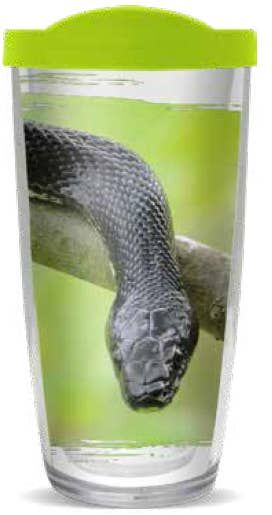 28oz Mega Tumbler - Rat Snake w/ Lime Green Lid H2-11991-Rat-Snake