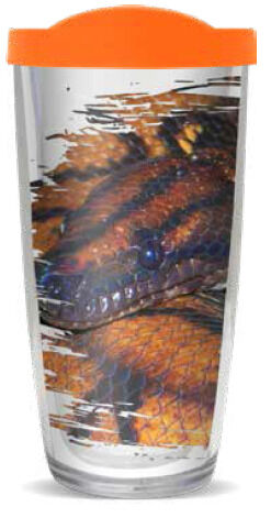 28oz Sport Tumbler - Rainbow Boa w/ Gray Lid ST-11992-Rainbow-Boa