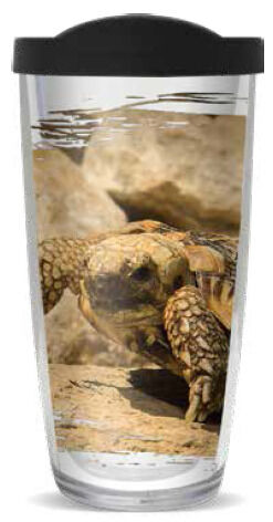 28oz Mega Tumbler - Pancake Tortoise w/ Black Lid H2-11993-Pancake-Tortoise