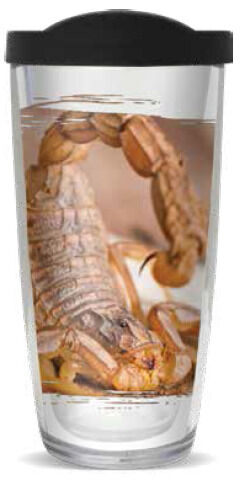 16oz Tumbler - Scorpion w/ Black Lid 02-11994-Scorpion