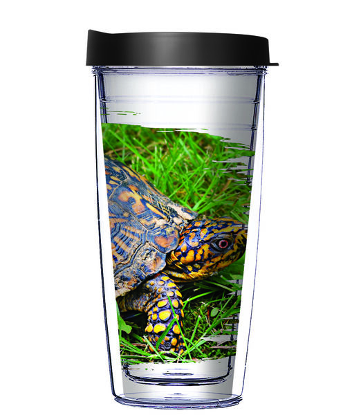 16oz Short Tumbler - Box Turtles without lid 01-11996-Box-Turtle