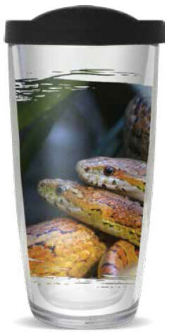 28oz Sport Tumbler - Corn Snake w/ Gray Lid ST-11997-Corn-Snake