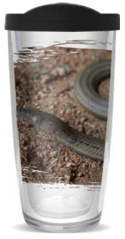 16oz Short Tumbler - Legless Lizard without lid 01-11998-Legless-Lizard