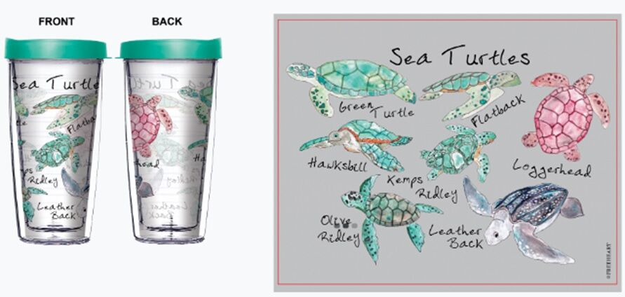 16oz Tumbler - Sea Turtles Watercolor w/ Teal Lid 02-12021