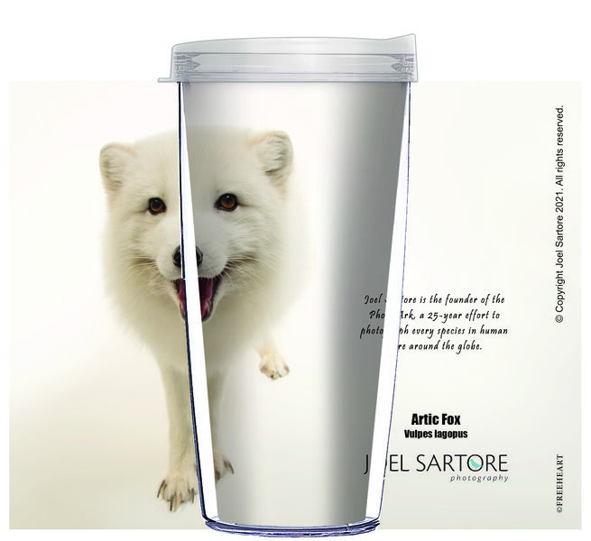 28oz Mega Tumbler - Artic Fox on White w/ Clear Lid H2-ANI004-00110