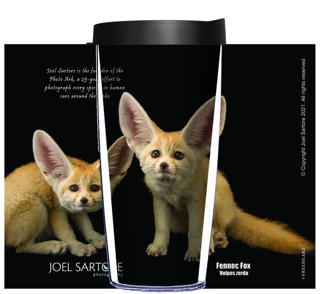 16oz Tumbler - Fennec Fox Kits w/ Black Lid 02-ANI004-00112