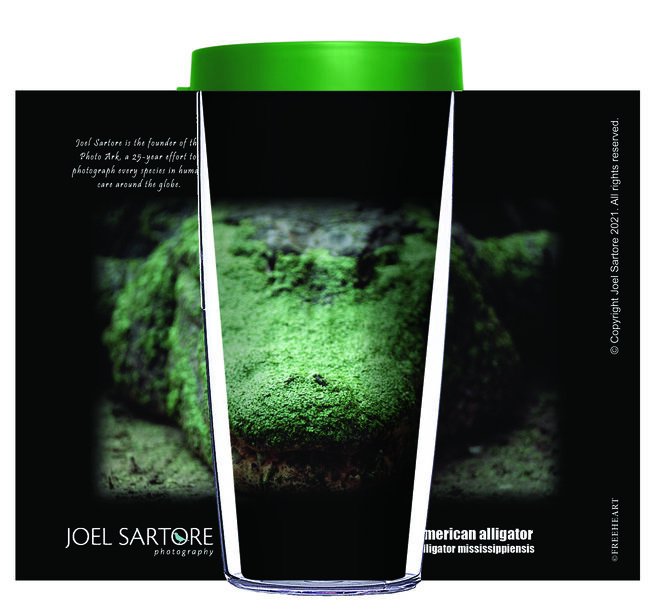 24oz Flareside Tumbler - American Alligator with Green Face w/ Black Lid 24F-ANI010-00004