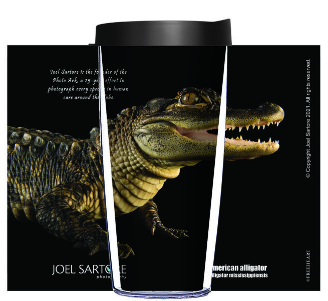 16oz Tumbler - American Alligator w/ Black Lid 02-ANI010-00048