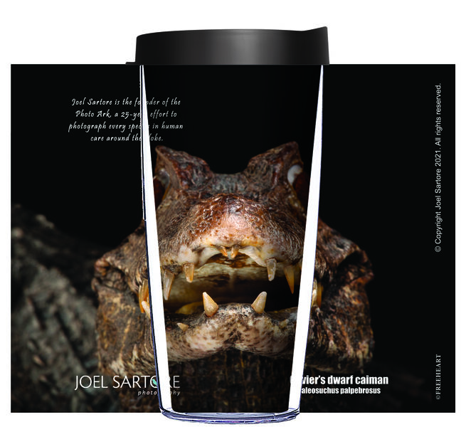 18oz Handle Mug - Dwarf Caiman Front View w/ Black Lid 06-ANI013-00167