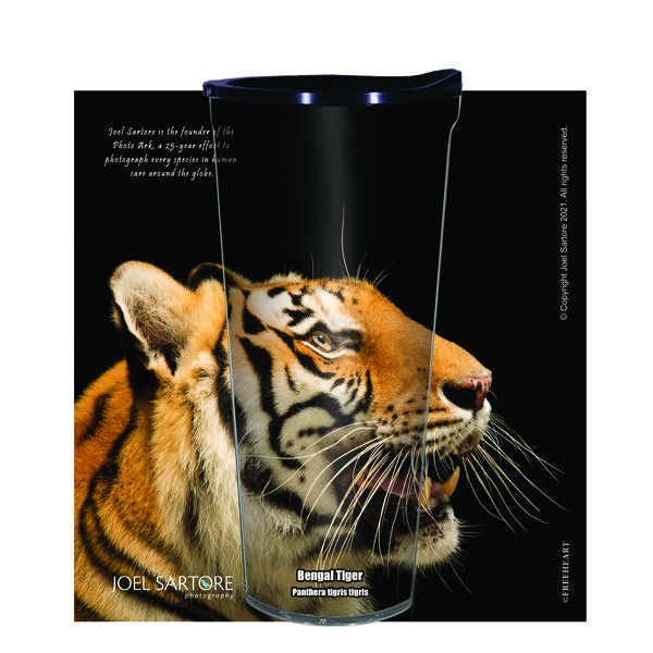 16oz Short Tumbler - Bengal Tiger without lid 01-ANI019-00450