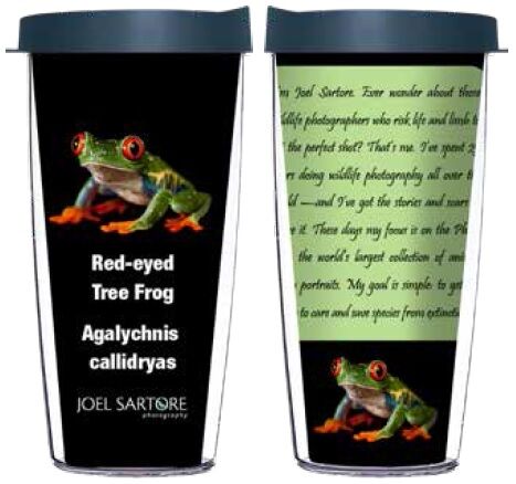 16oz Tumbler - Red Eyed Tree Frog w/ Blue Lid 02-ANI025-00091