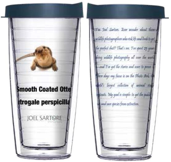 22oz Tumbler - Smooth Coated Otter w/ Blue Lid 08-ANI030-00143