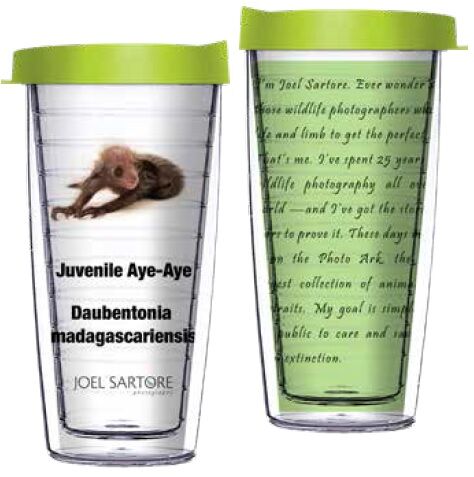 22oz Tumbler - Juvenile Aye-Aye w/ Lime Green Lid 08-ANI042-00111