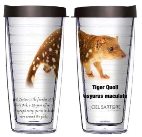 16oz Tumbler - Tiger Quoll w/ Black Lid 02-ANI051-00226