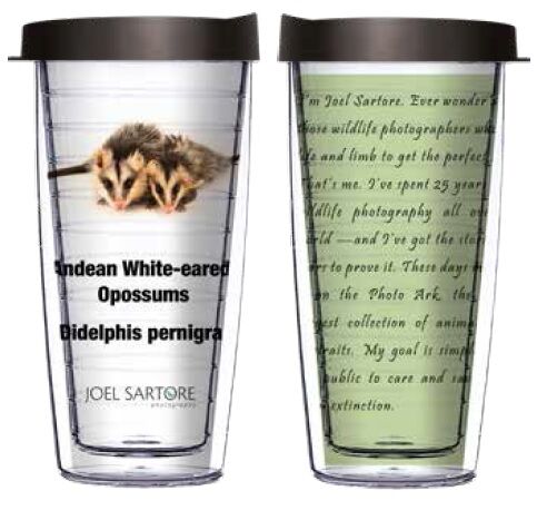 28oz Sport Tumbler - Andean White-eared Opossums w/ Gray Lid ST-ANI051-00271