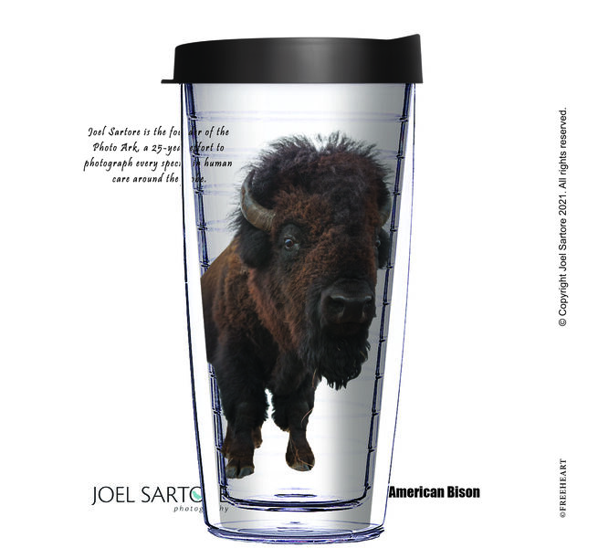 16oz Tumbler - American Bison w/ Black Lid 02-ANI082-00186