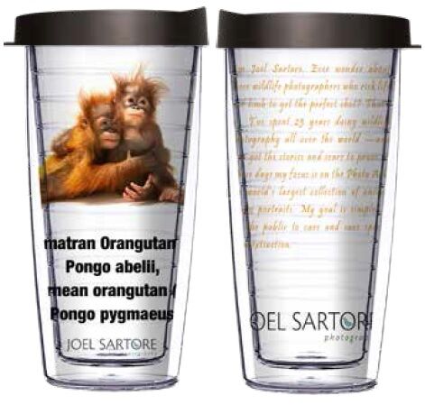 16oz Short Tumbler - Sumatran & Borneo Orangutans without lid 01-ANI090-00012