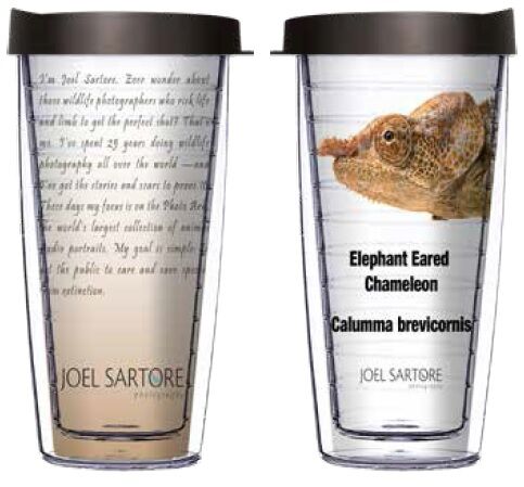 22oz Tumbler - Elephant Eared Chameleon w/ Black Lid 08-ANI092-00062