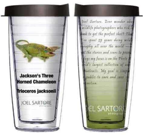 22oz Tumbler - Jackson's Three Horned Chameleon w/ Black Lid 08-ANI092-00135