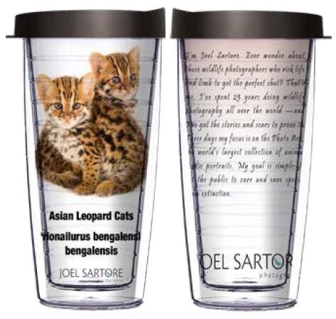 24oz Flareside Tumbler - Asian Leopard Cats w/ Black Lid 24F-ANI100-00042