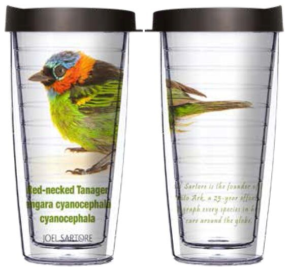 28oz Mega Tumbler - Red-necked Tanager w/ Black Lid H2-BIR064-00245