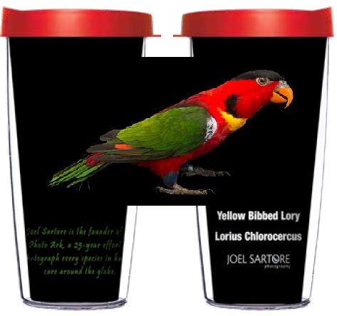 28oz Sport Tumbler - Yellow Bibbed Lory w/ Gray Lid ST-BIR065-00111