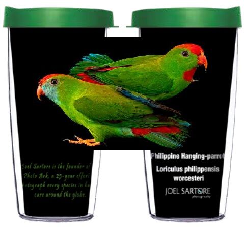 28oz Sport Tumbler - Philippine Hanging-parrot w/ Gray Lid ST-BIR065-00165