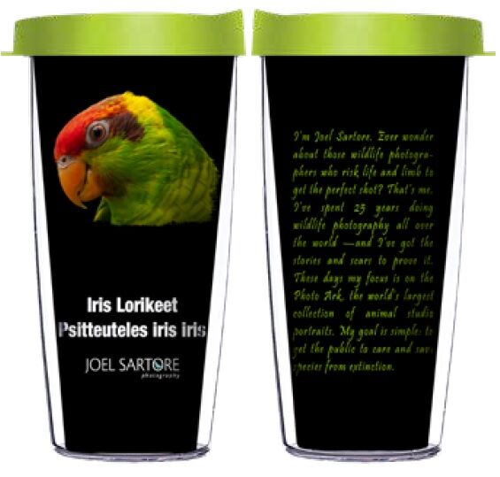 16oz Short Tumbler - Iris Lorikeet without lid 01-BIR065-00246