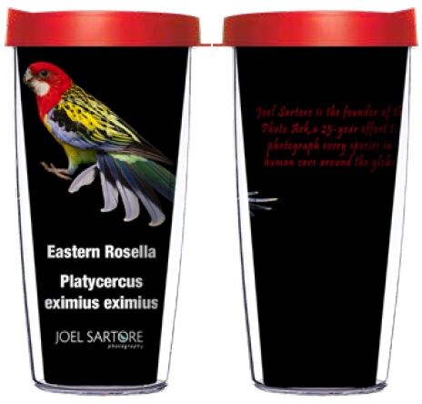 22oz Tumbler - Eastern Rosella w/ Red Lid 08-BIR065-00249