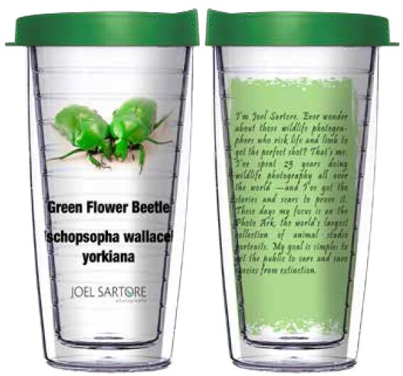 16oz Short Tumbler - Green Flower Beetle without lid 01-INS002-00385