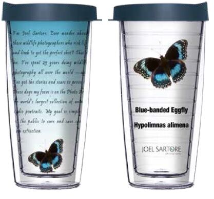 18oz Handle Mug - Blue-banded Eggfly w/ Black Lid 06-INS023-00072