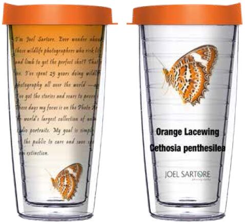 24oz Flareside Tumbler - Orange Lacewing in Flight w/ Black Lid 24F-INS023-00077