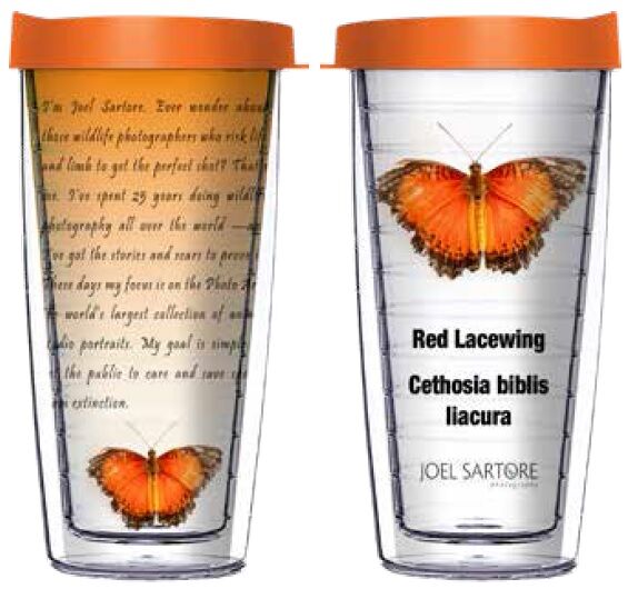 16oz Tumbler - Red Lacewing w/ Orange Lid 02-INS023-00152